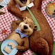 Image for article titled Yogi Bear